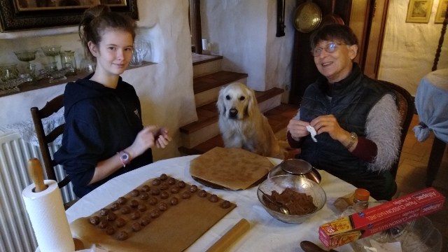 Petit gâteaux de Noël aux épices