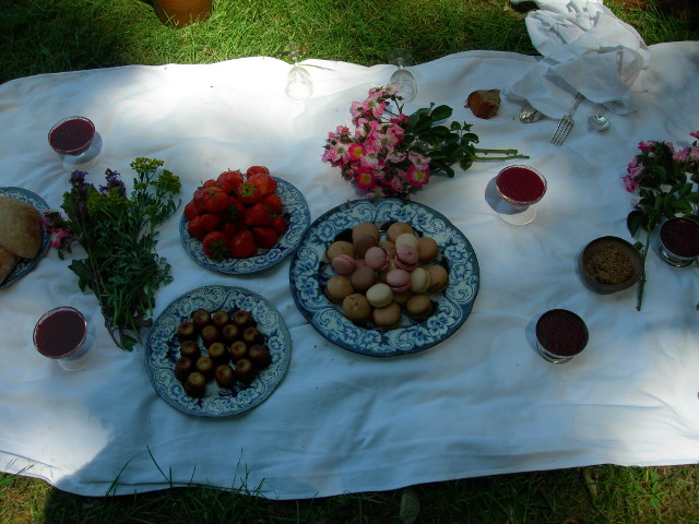 Repas XVIIIe sur l'herbe à Vaux le Vicomte