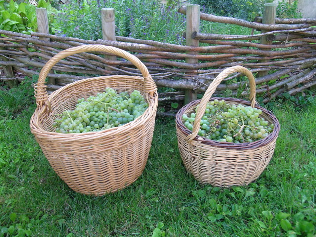 Un jardin médiéval de la Compaignie de l'Ypocras