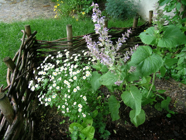 Un jardin médiéval de la Compaignie de l'Ypocras