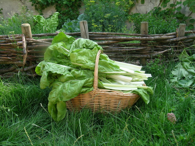 Un jardin médiéval de la Compaignie de l'Ypocras